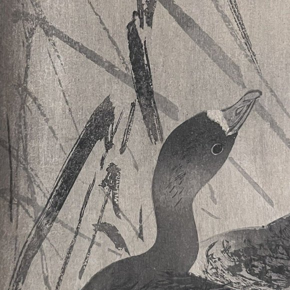 JAPANESE INK ON PAPER PAINTING FT DUCKS IN A FIELD OF REEDS W/ FULL MOON SIGNED - Picture 2 of 10